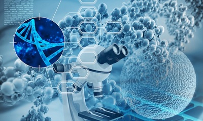 一粒科創“種子”孕出一家“隱形冠軍”