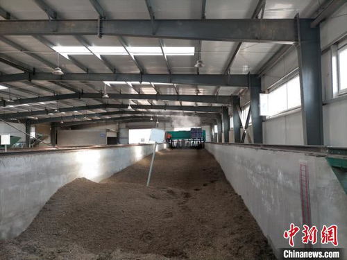 山西太原 園林垃圾資源化再利用，綠廢“變身”科創產品